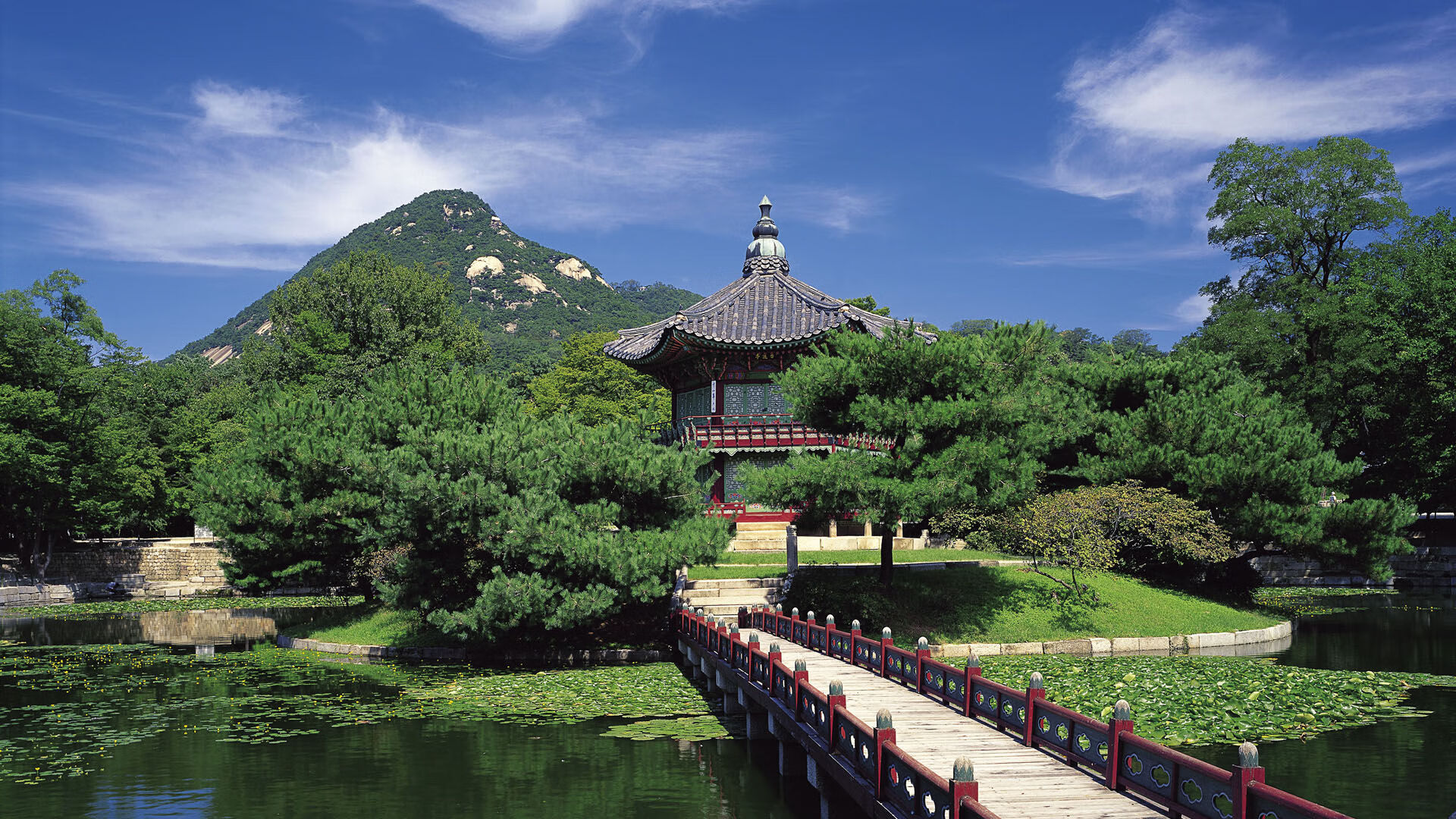 爱游戏体育下载-中国足球防线前提战术的成功率趋势追踪，中国足球防守反击