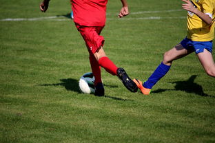 爱游戏体育app-篮球训练计划科学制定及执行效果跟踪研究，简述篮球训练计划制定步骤