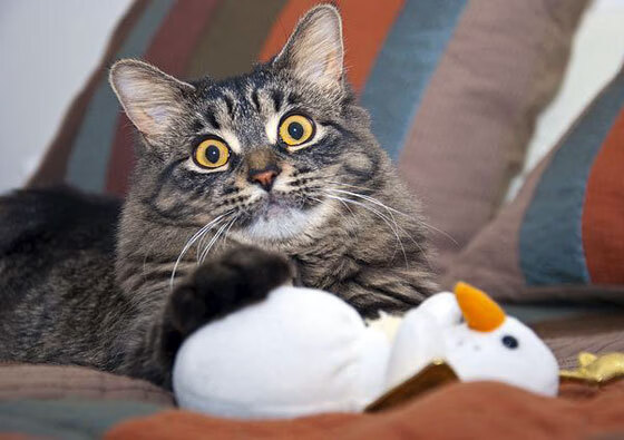 爱游戏体育入口-大学篮球联赛积极推进赛季管理提升赛事规范化水平,大学篮球赛怎么编排赛制