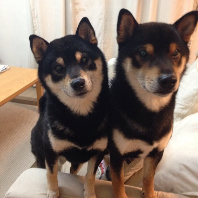 爱游戏体育娱乐-女子乒乓球队封闭训练取得积极成果，女子乒乓球团