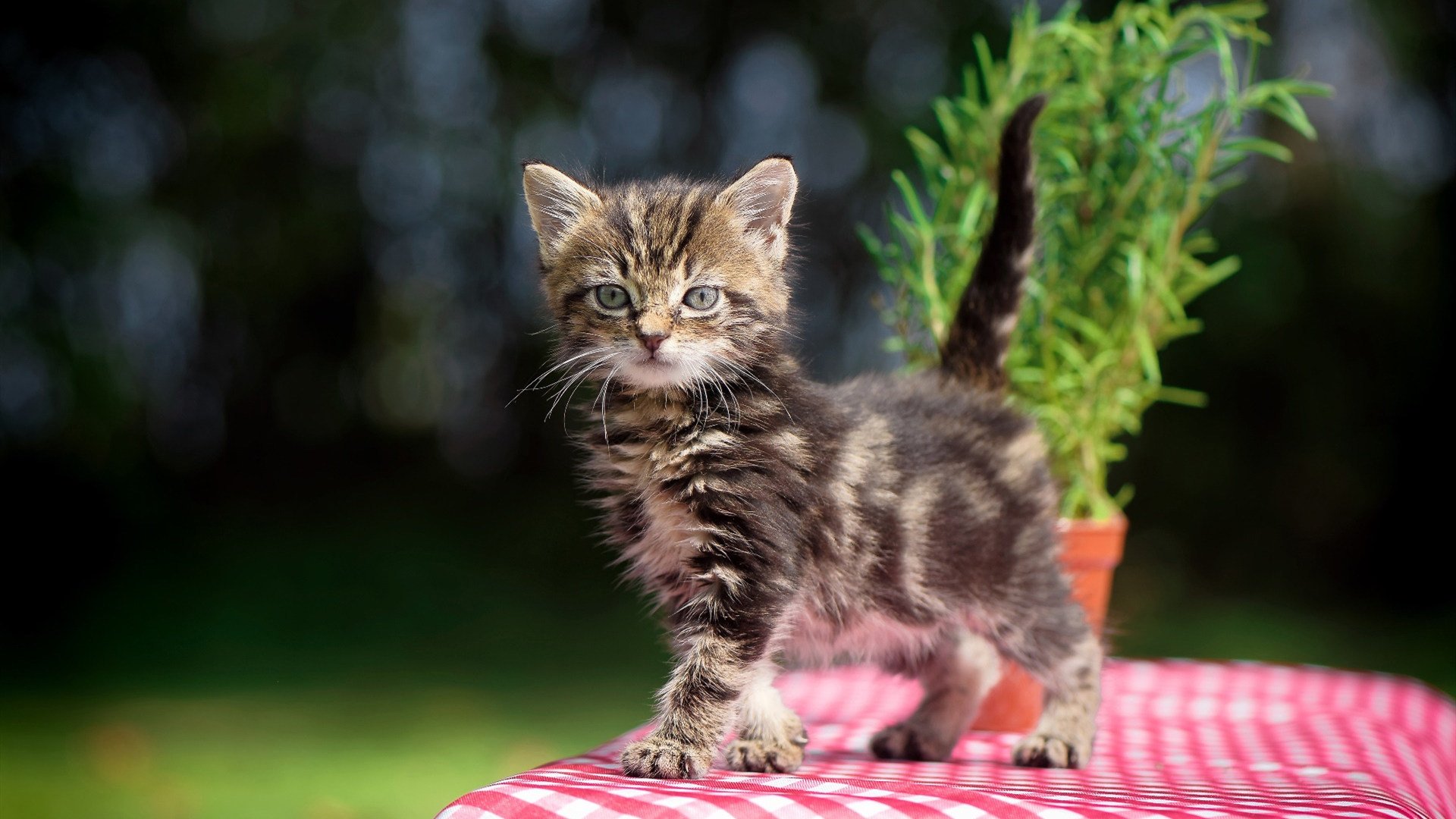 爱游戏app注册-足球行业大数据分析实现精细化管理与服务提升，足球队数据分析