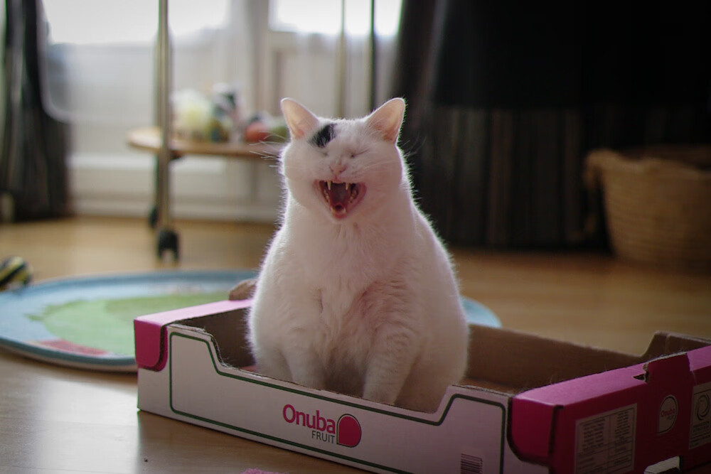 爱游戏app活动-霍勒迪连砍三双雄鹿防守效率提升，霍勒迪最佳防守