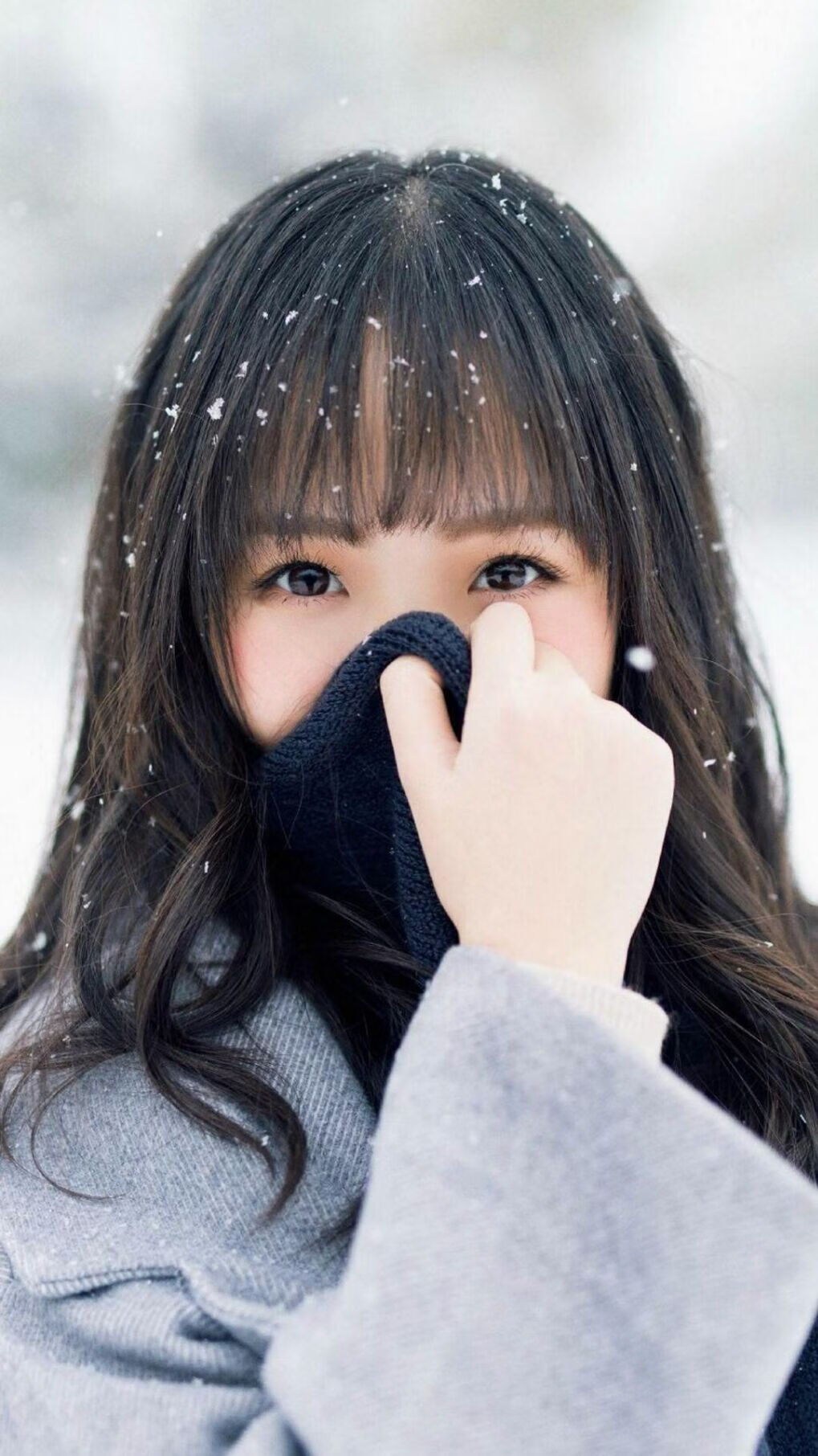 爱游戏app-黄蜂反击效率提升快攻得分占比增加，黄蜂最佳战绩