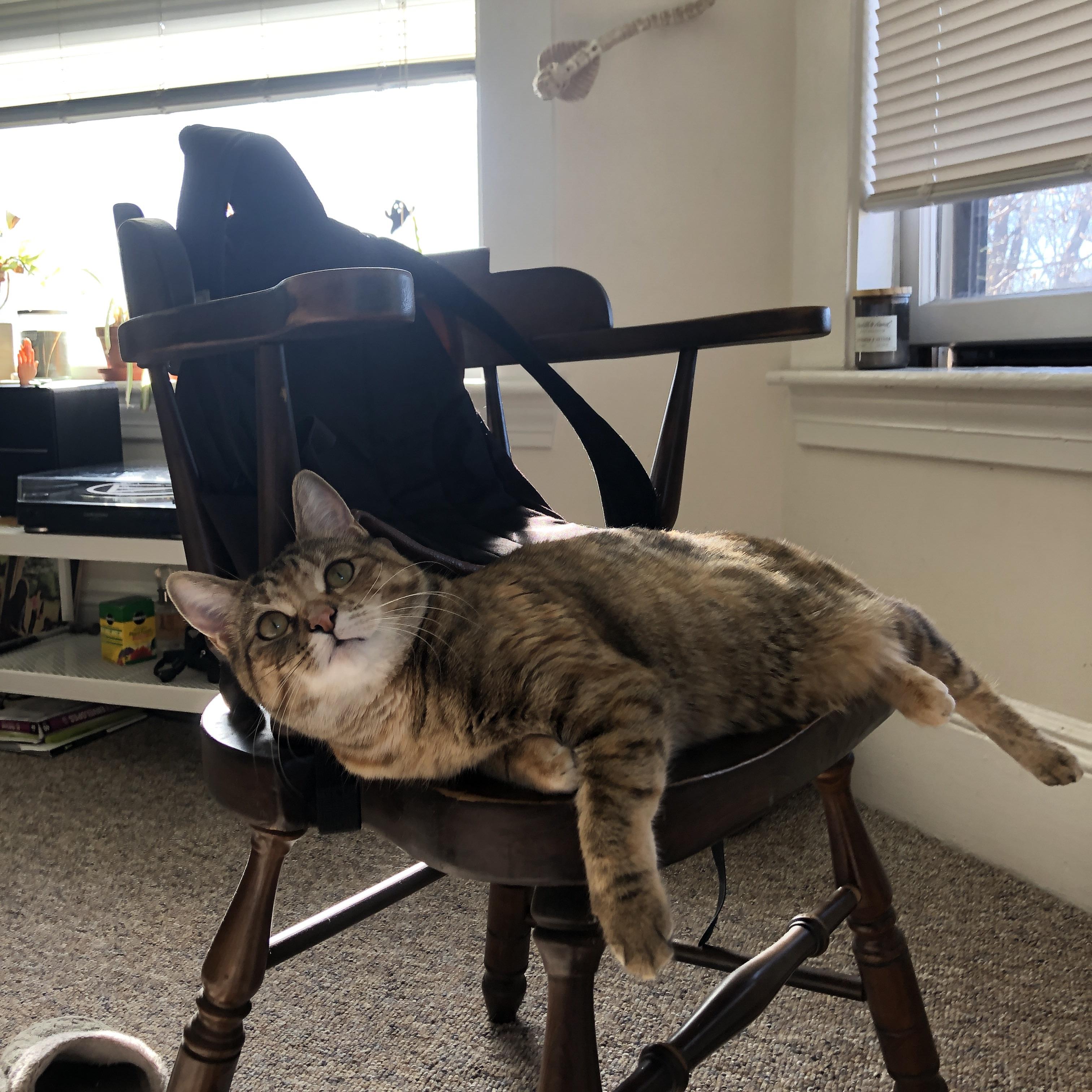 爱游戏体育-2025年留学生求职机构排行榜发布，DBC职梦表现亮眼，留学生求职时间线